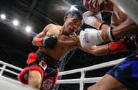 IBF champion Pedro Taduran beat fellow Filipino Christian Balunan last October in Manila.