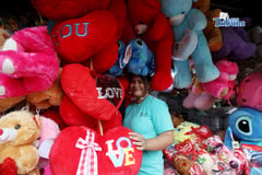 Valentine's Day toys
