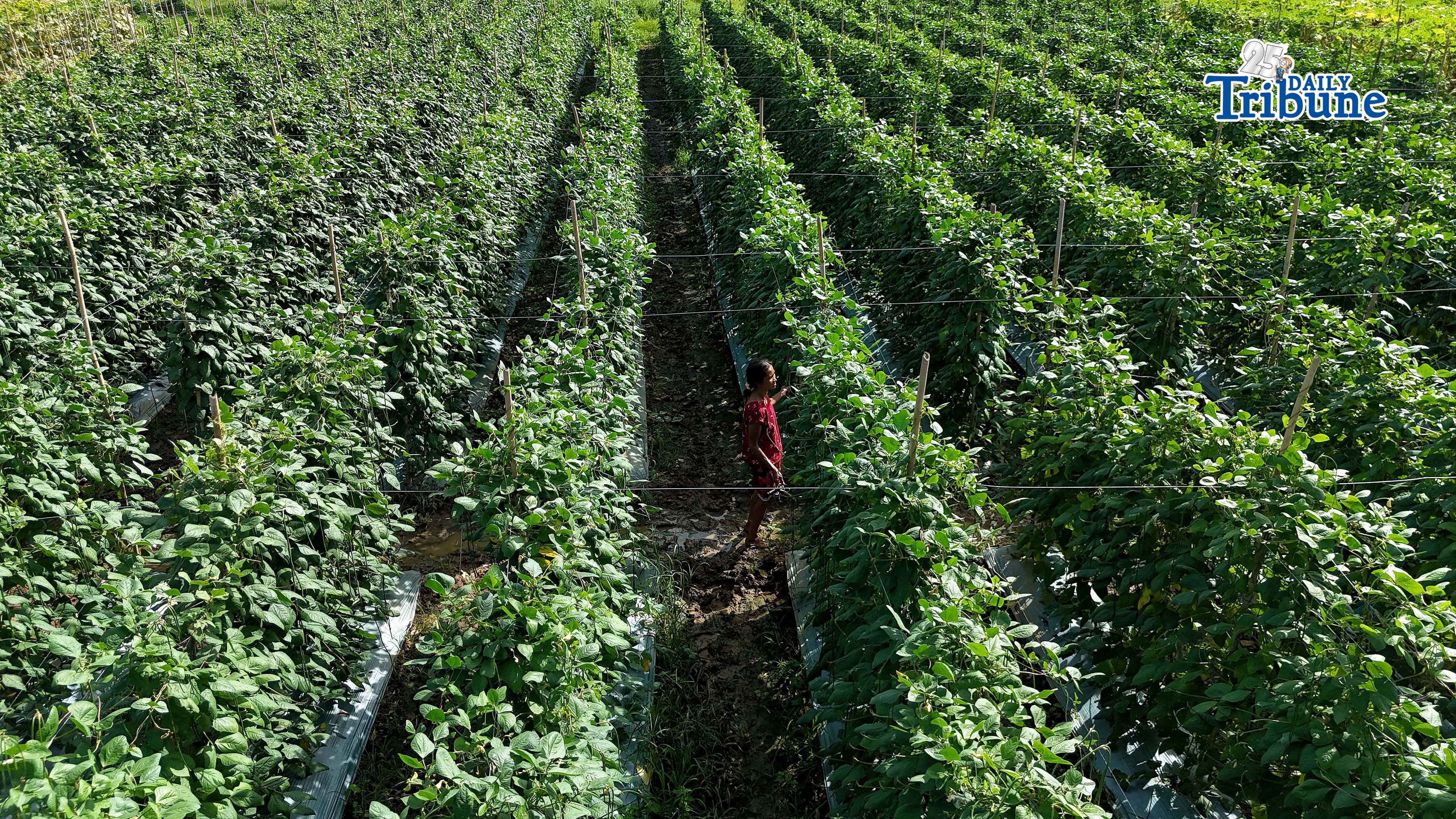 World Bank funds $1B farm modernization
