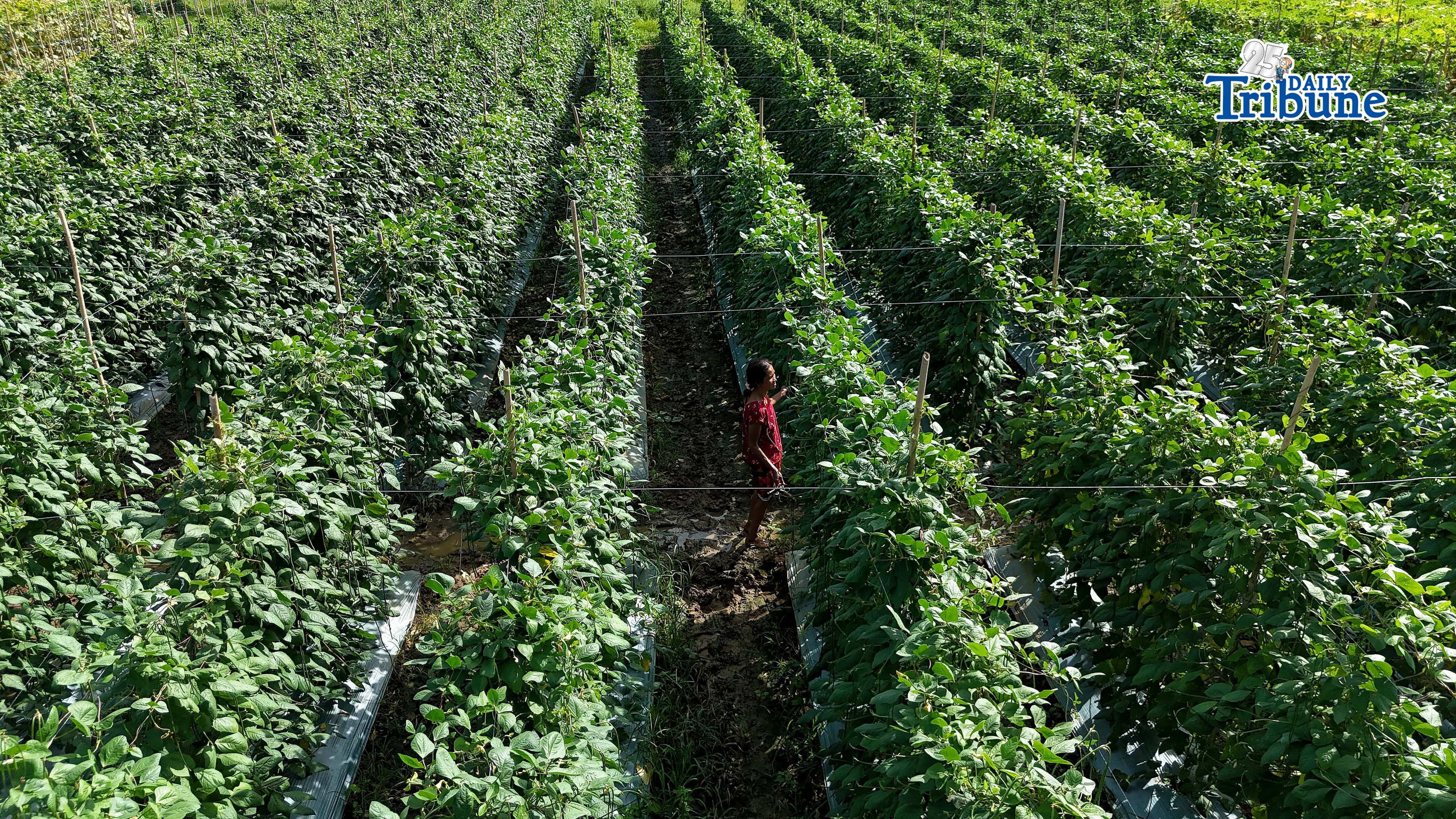 World Bank funds $1B farm modernization