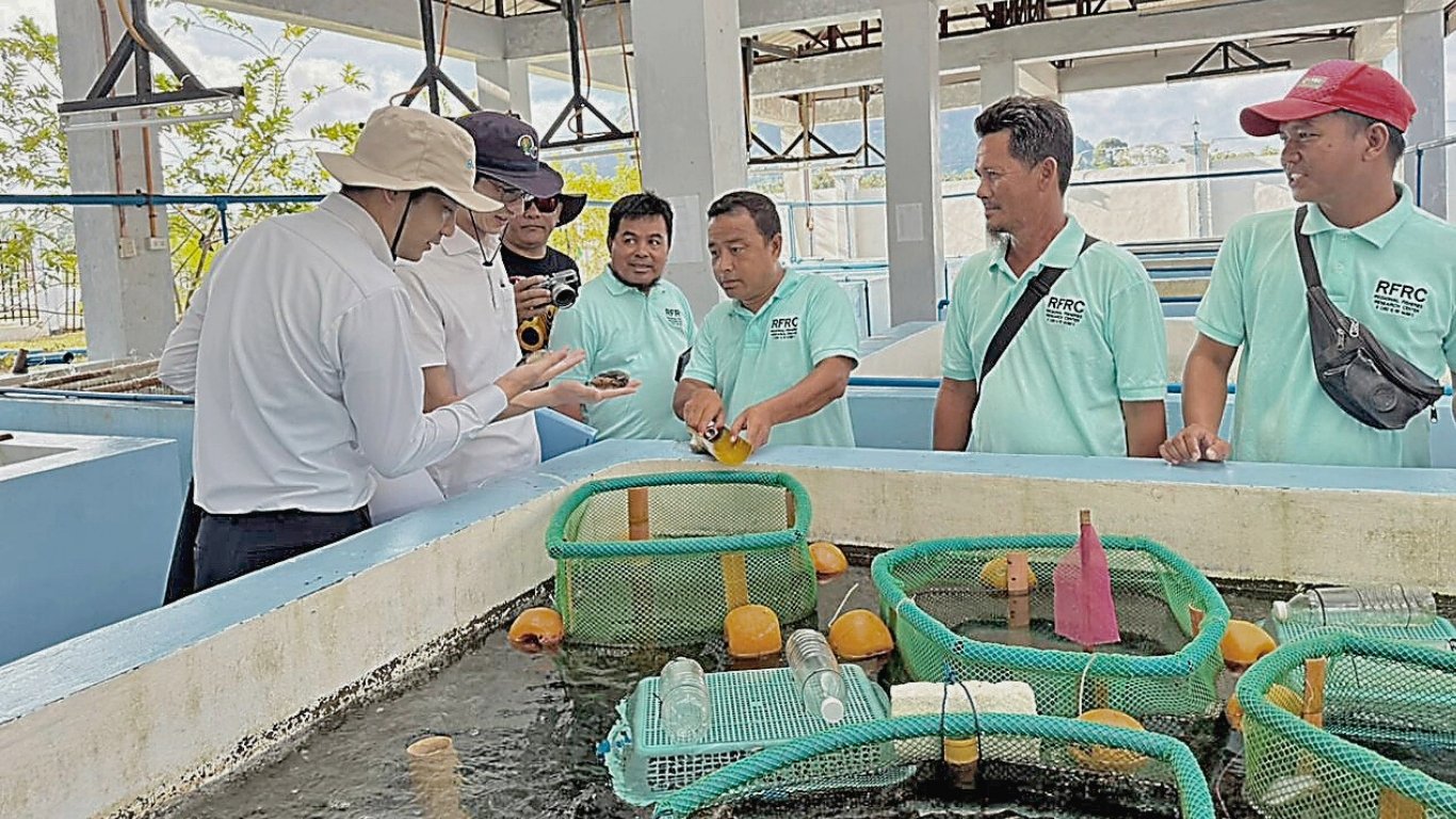Japan boosts sustainable BARMM fisheries