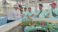 Japan boosts sustainable BARMM fisheries