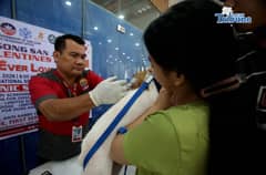 Pet vaccine