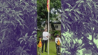 Ceylon 78