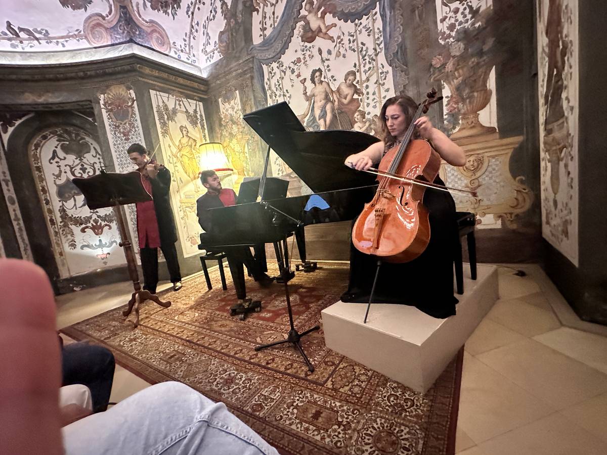 MUSICIANS at the Konzerte Im MozartHaus.