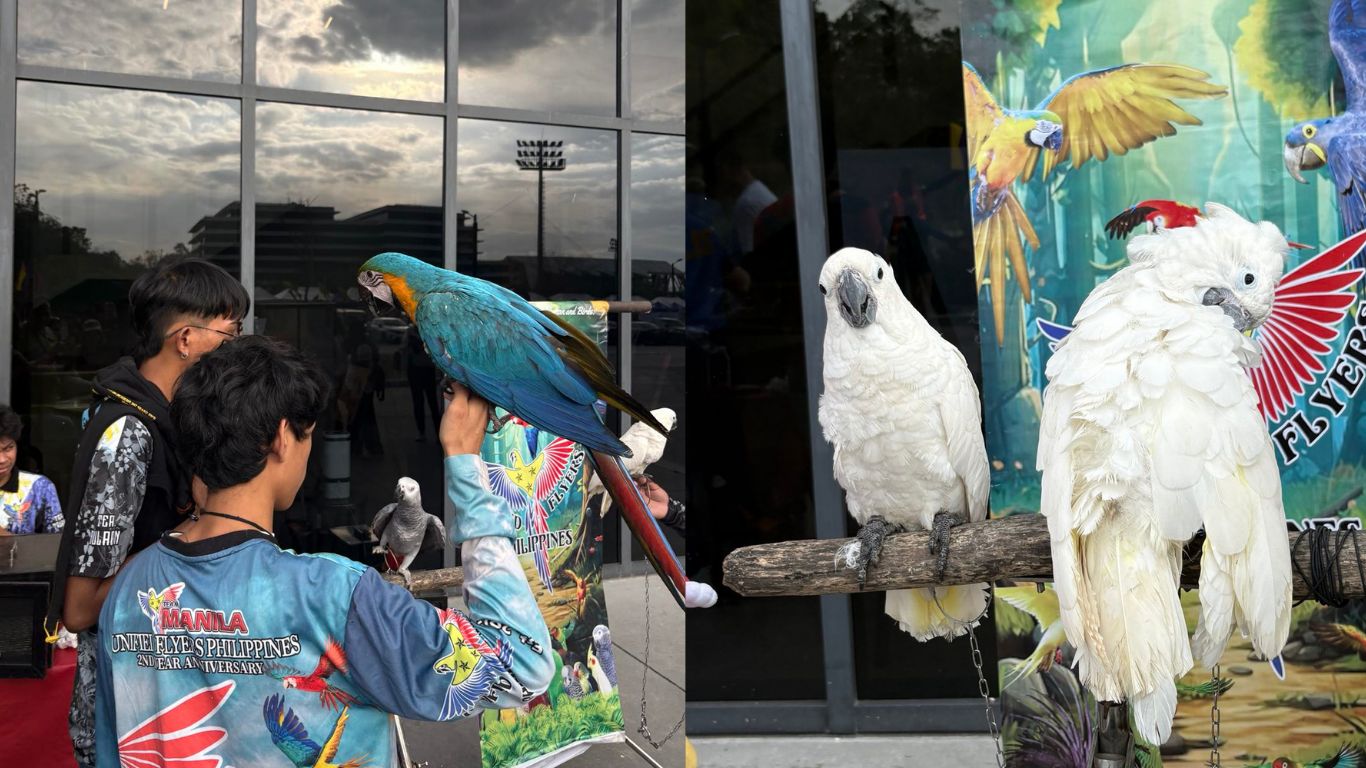 Where passion, advocacy collide through birds 