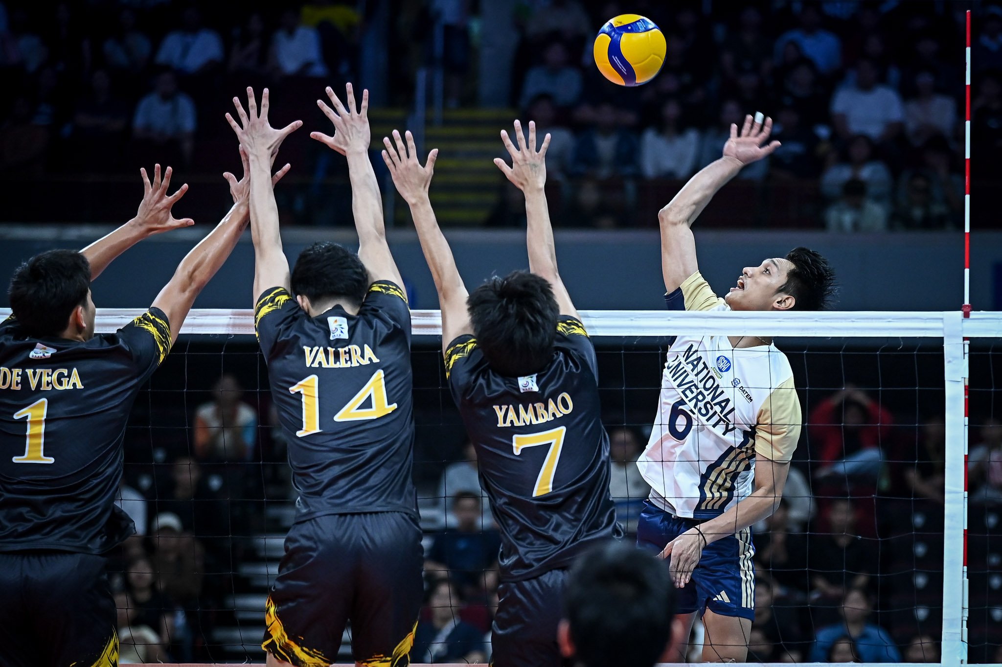 Buddin, Alas mates polish off Golden Spikers