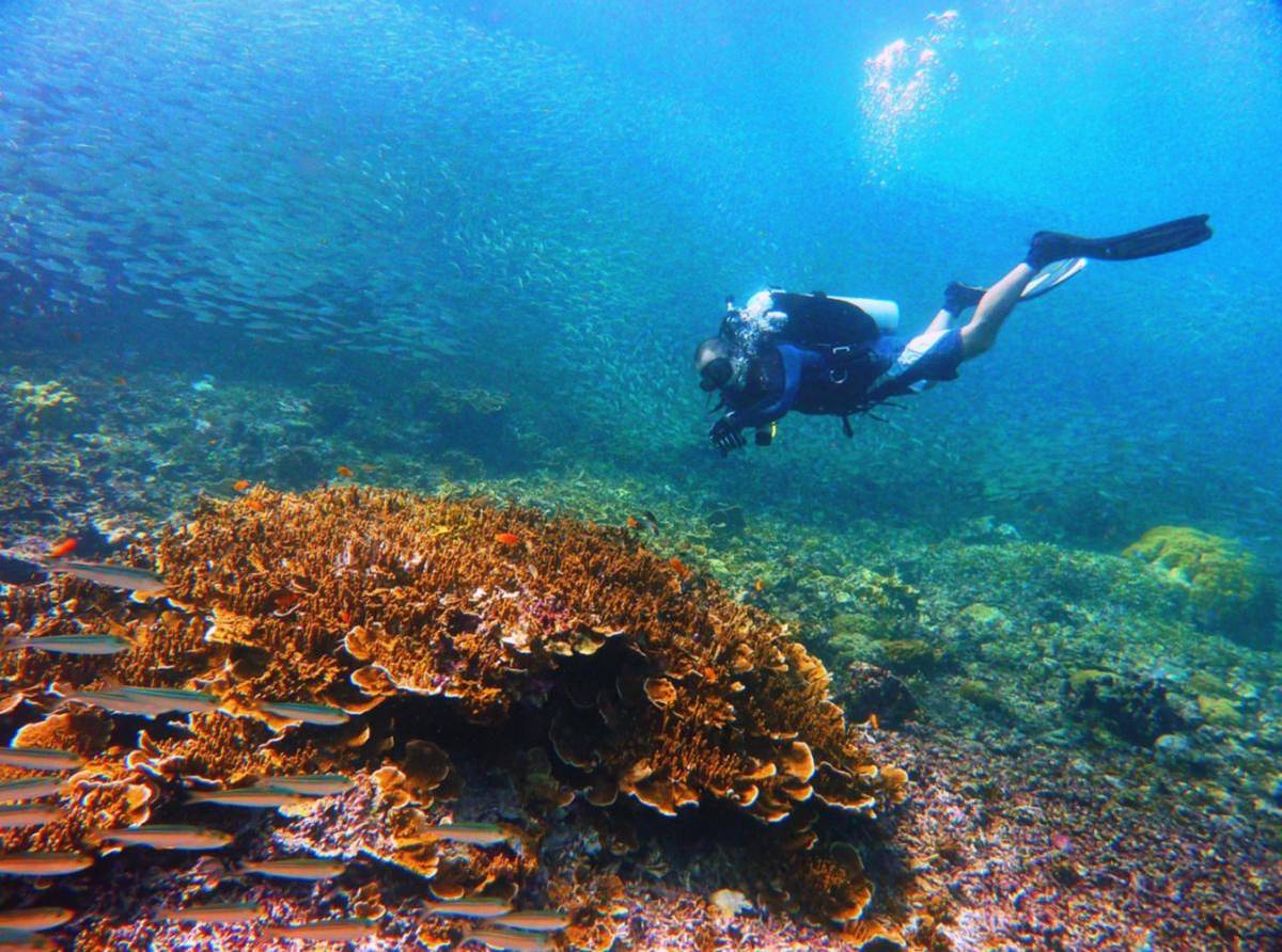 AN underwater shot shows vibrant coral formations in the pristine waters of Anilao, Batangas.