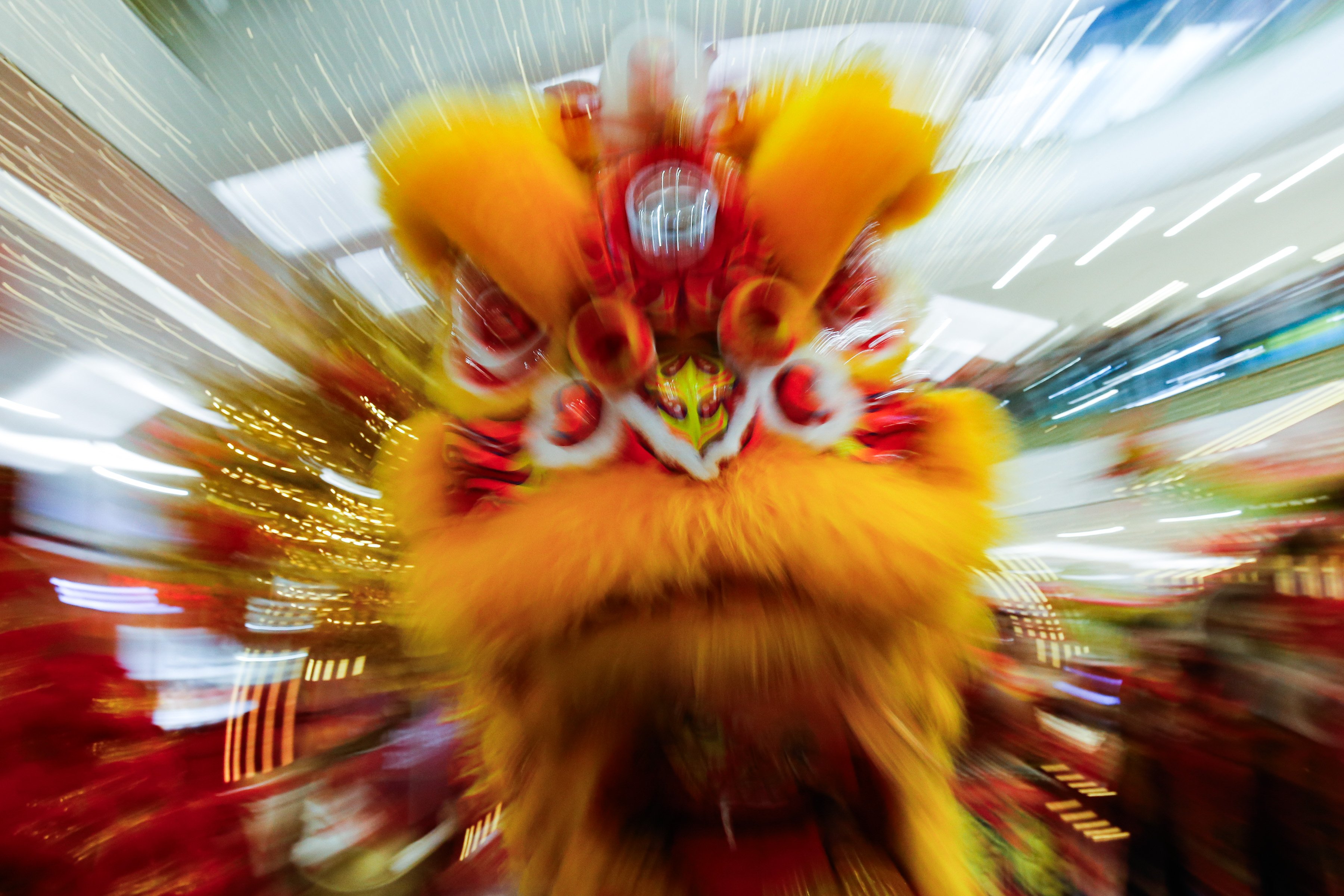 Lunar New Year showcase