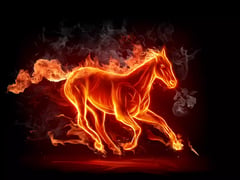 Bold strategy required as ‘Fire Horse’ replaces ‘Wood Snake’
