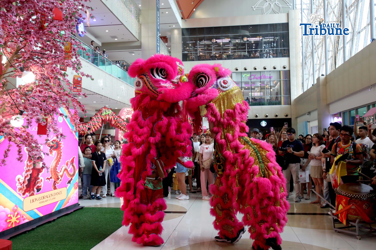 Dragon and lion dancers reach for the red envelope (ang pau), a gift from a mall tenant, as they entertain shoppers during Lunar New Year celebrations at an SM mall in Marikina City on Tuesday, 17 February 2026.
Photo by Analy Labor