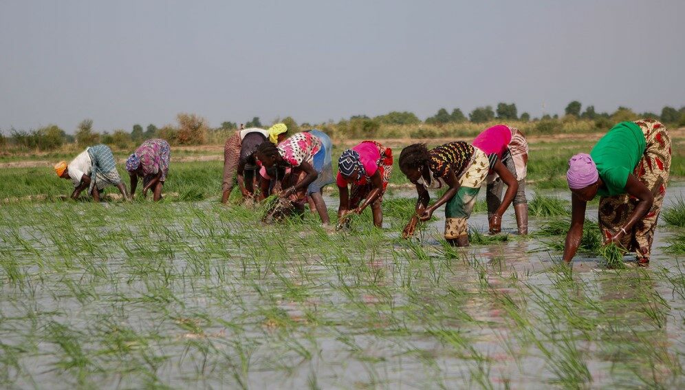 Phl shares farm mechanization expertise with African nations