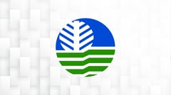 DENR speeds up land ownership process
