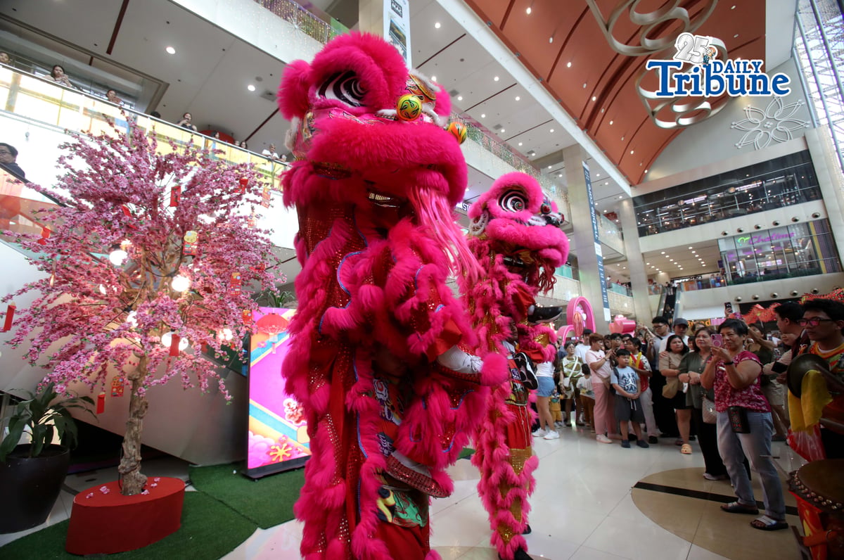Dragon and lion dancers reach for the red envelope (ang pau), a gift from a mall tenant, as they entertain shoppers during Lunar New Year celebrations at an SM mall in Marikina City on Tuesday, 17 February 2026.
Photo by Analy Labor