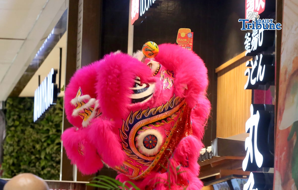 Mall dragon and lion dance