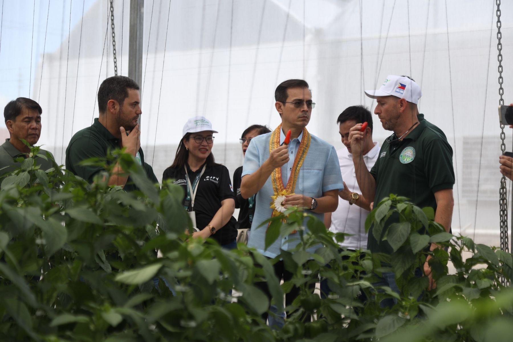Mayor eyes greenhouse model for capital’s food supply