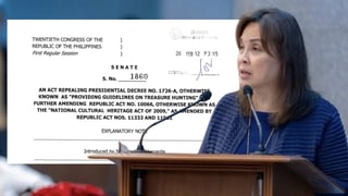 Legarda files bill to end treasure hunting nationwide