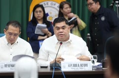 Acidre: VP Sara cannot be held to same standards as ordinary citizens