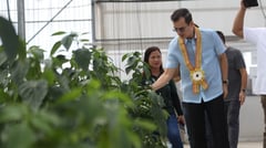 Manila eyes modern greenhouse tech
