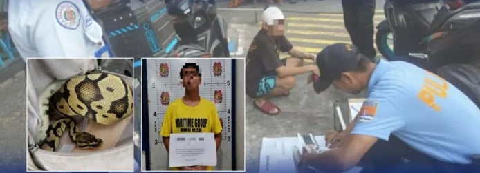 PNP foils online wildlife sale, suspect arrested in Pasay