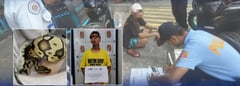 PNP foils online wildlife sale, suspect arrested in Pasay