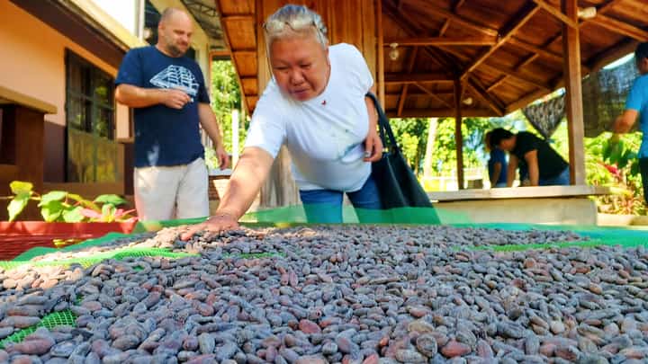 Cacao beans being dried at a farm in Bataan.