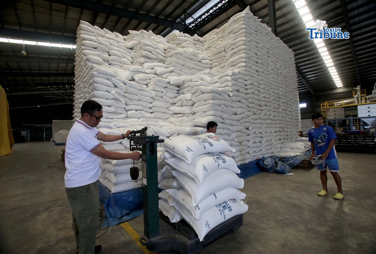 ANALY LABOR