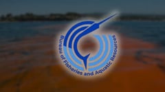 Pangasinan coastal waters cleared 
of toxic red tide