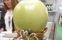 CALABASH juice can reportedly boost the immunity to fight off illnesses like cardiovascular diseases and cancer.