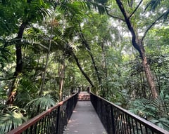 DENR update on forest leasing set to expand job opportunities