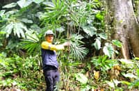 SAGITTARIUS Mines, Inc. begins reforestation and livelihood efforts in host communities ahead of commercial operations.