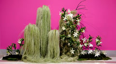 Art rising: Elegance at Art Fair 2026