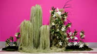 Art rising: Elegance at Art Fair 2026