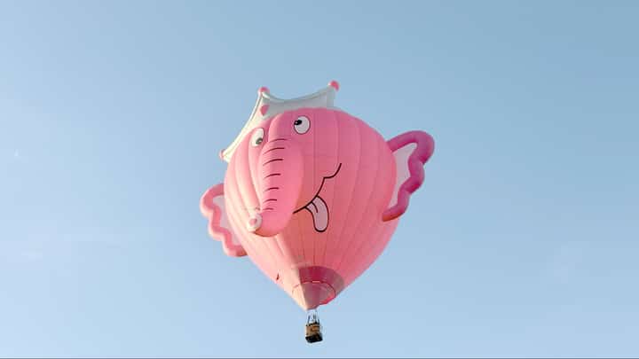 PRINCESS brought happiness Princess Nelly, the pink elephant with a crown and a cute face, hails from Belgium and is managed by pilot Peter Van Overwalle.