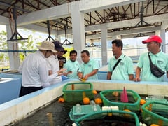 Japan, FAO back sustainable fisheries in BARMM