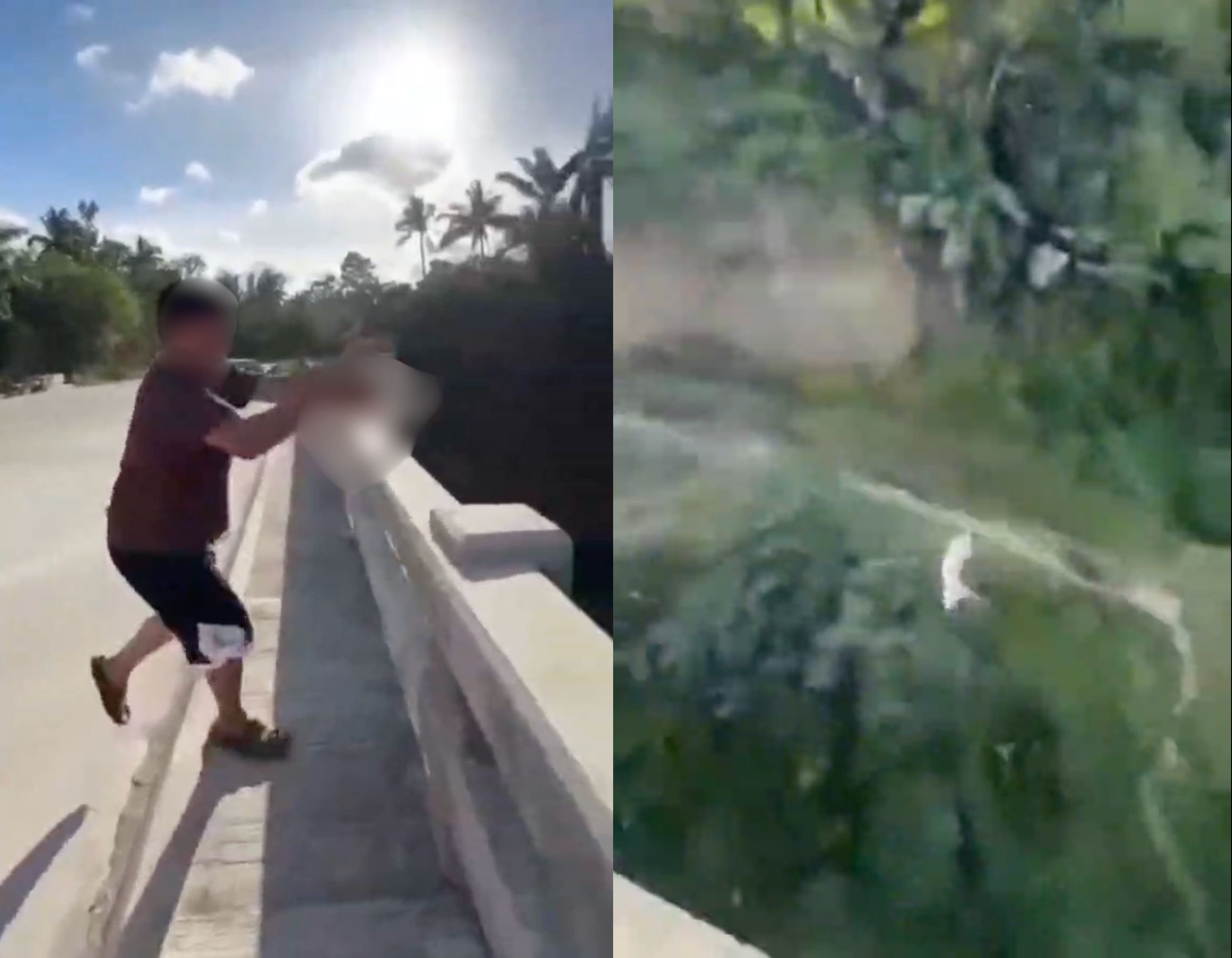 Lalaking naghagis ng pusa sa tulay, kakasuhan sa Cavite
