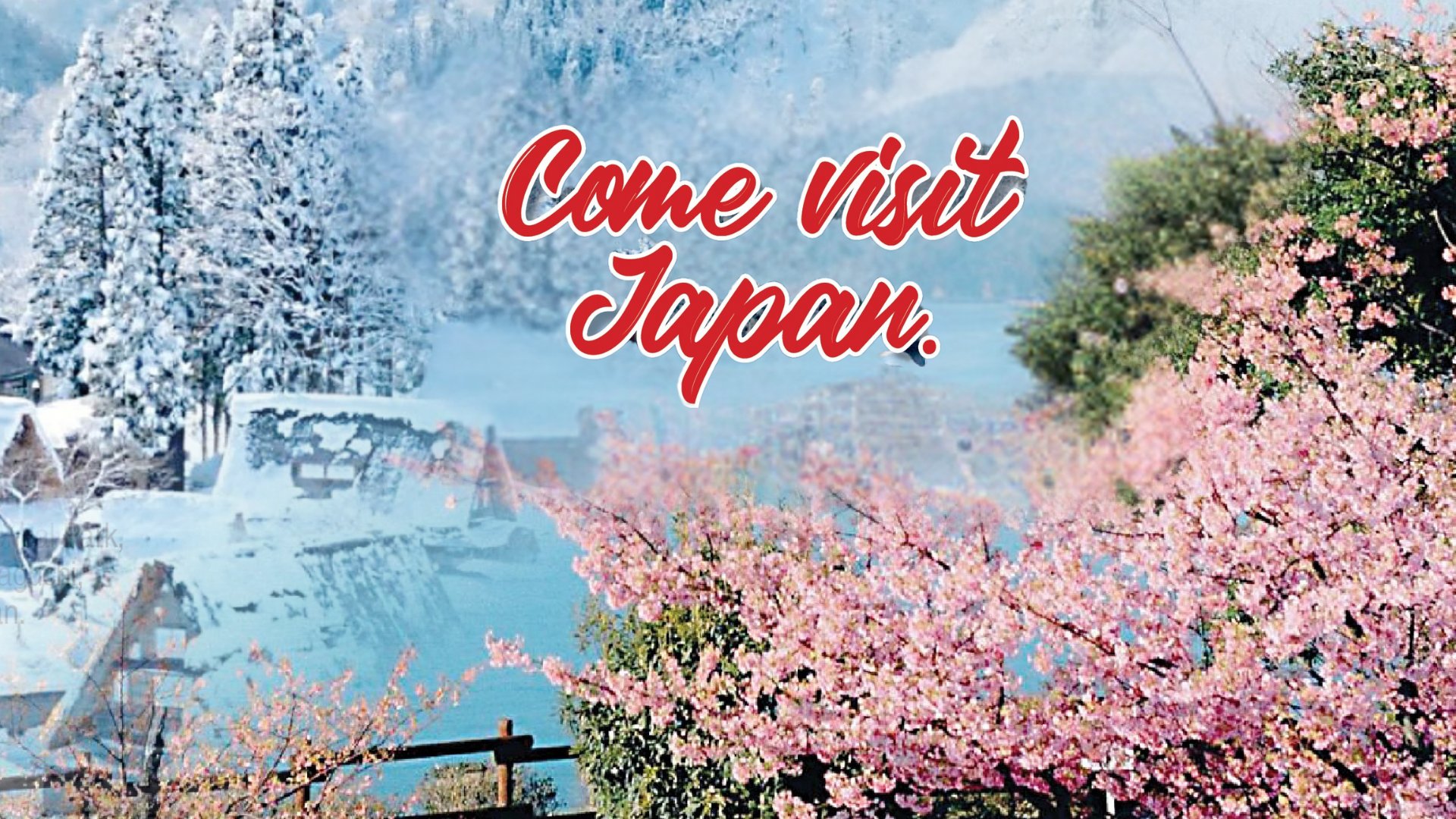 From Spring to Winter... Come Visit Japan.