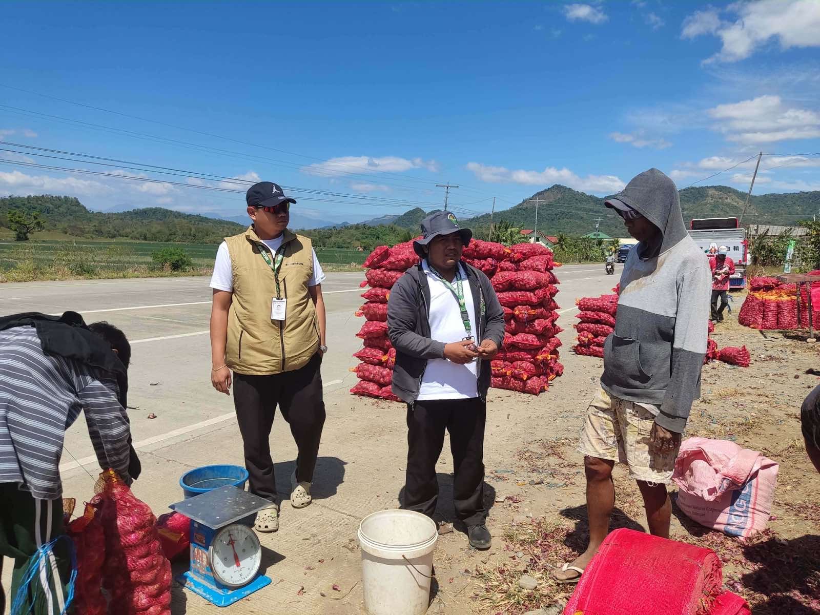 DA boosts assistance for onion farmers in Occidental Mindoro
