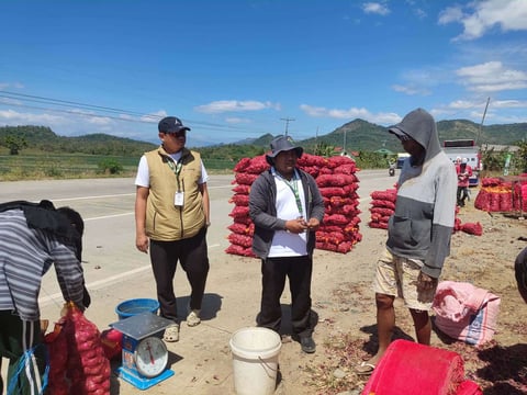 DA boosts assistance for onion farmers in Occidental Mindoro
