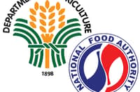 NFA auction raises P936.5M, frees warehouses