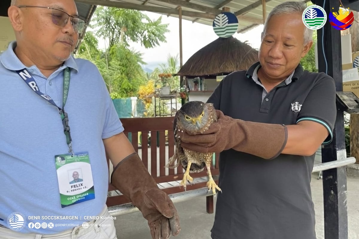 Maitum resident rescues serpent eagle