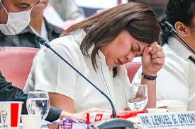 VP Duterte flags economic ‘triple whammy’ 