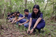 Maynilad surpasses 2025 reforestation goal in Metro Manila