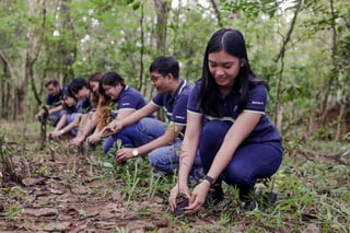 Maynilad surpasses 2025 reforestation goal in Metro Manila
