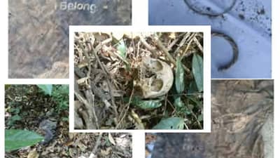 POLICE seek public’s help in identifying remains discovered in Nueva Ecija.