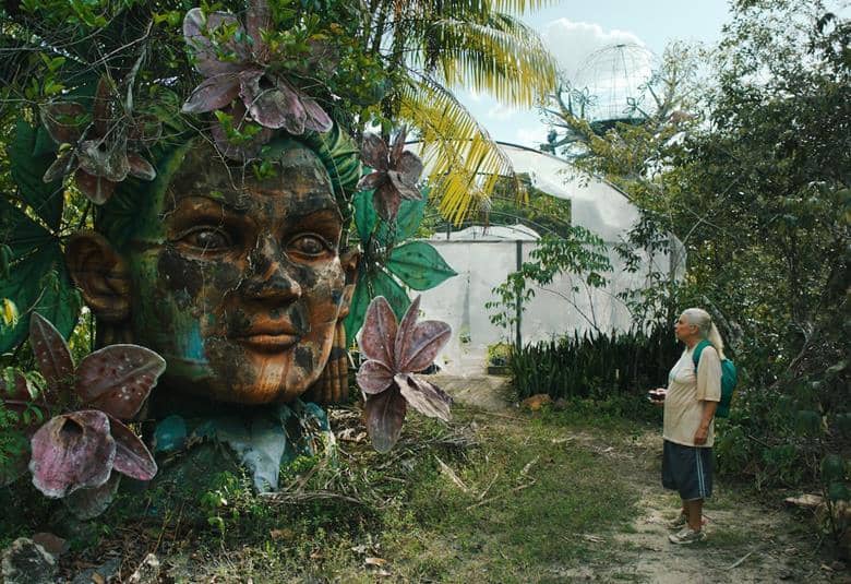 THE Blue Trail (O Último Azul) centers on a 77 year old who refuses government relocation. The movie star’s Denise Weinberg with Rodrigo Santoro as co-star.