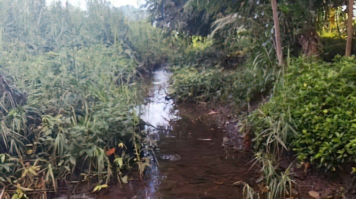 Leyte ‘ghost’ flood projects exposed