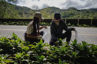 Cleanup drive at Masungi Georeserve