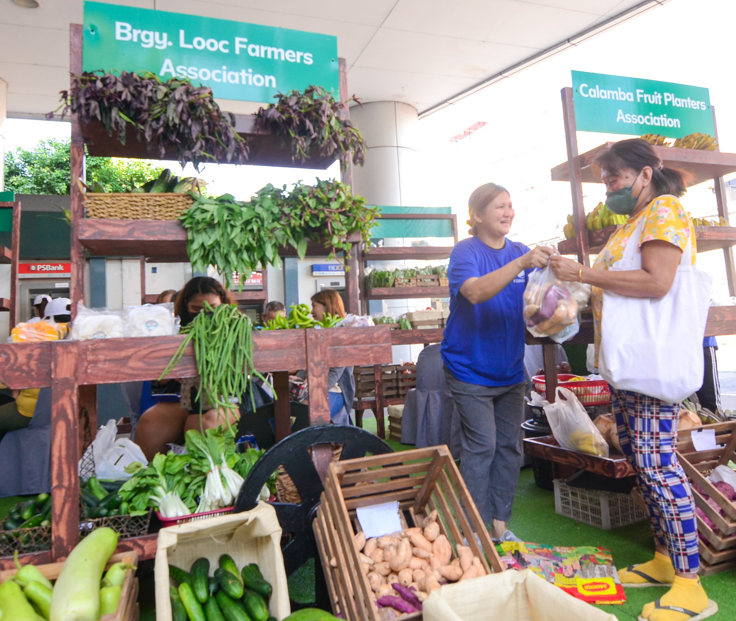 COLLABORATIVE partnerships open new market horizons for farmers, transforming harvests into higher-value opportunities and linking fields to broader, more rewarding marketplaces, SM Foundation executive director Debbie Sy believes.
