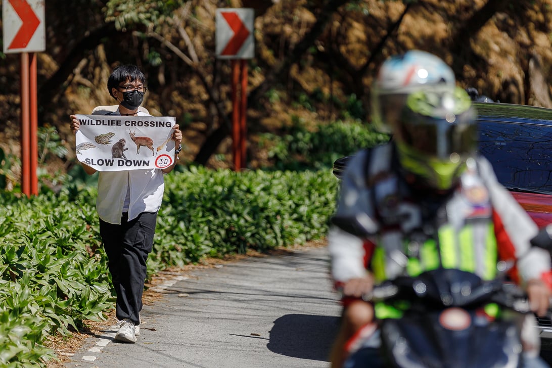 Environmental advocates collect trash and hold banners urging motorists to slow down along Kilometer 45 of Marcos Highway in Baras, Rizal, during the “Youth 4 Masungi Day” cleanup drive marking the 10th anniversary of Masungi Georeserve on Sunday, 1 March 2026.

Community affairs officer Jannah Rabago said the activity is part of a campaign to protect wildlife and preserve the area covered by Presidential Proclamation No. 1636, which declares Masungi a national park and wildlife sanctuary.

“’Yung pagbabawal natin, ’yung highway safety awareness na ginagawa natin, na una, pag-slow down ng mga sasakyan, at bukod doon ’yung no to open and loud mufflers, ay ginagawa natin dahil ayaw nating maistorbo ’yung mga buhay-ilang na mayroon tayo rito,” she said.
